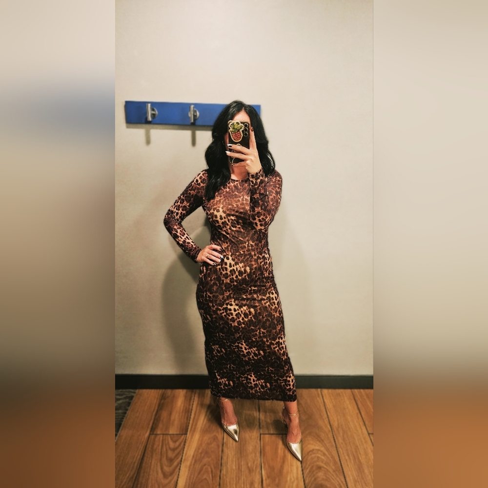 Express Leopard Print Long Sleeve Dress